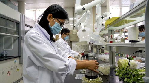 安丘市推进农产品检验检测流程再造，开启检测信息共享新篇章